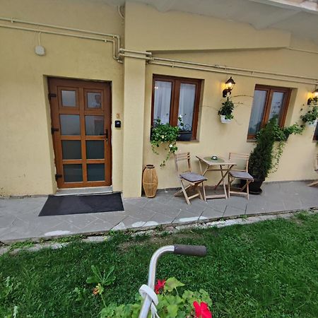 Central Garden Apartments Brasov Bagian luar foto