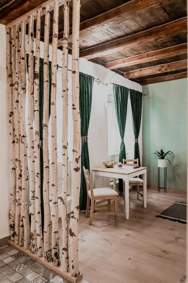 Central Garden Apartments Brasov Bagian luar foto
