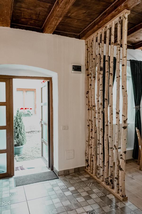 Central Garden Apartments Brasov Bagian luar foto
