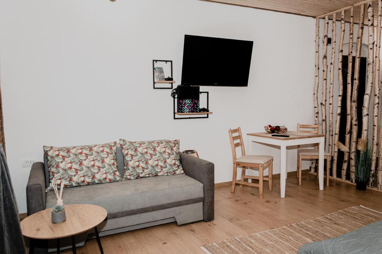 Central Garden Apartments Brasov Bagian luar foto