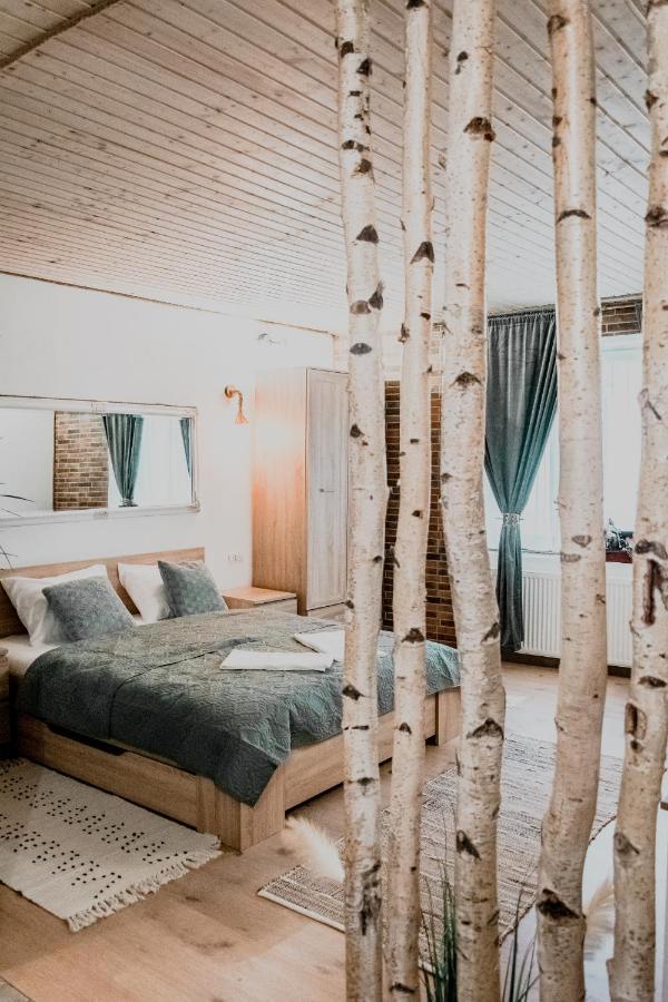Central Garden Apartments Brasov Bagian luar foto