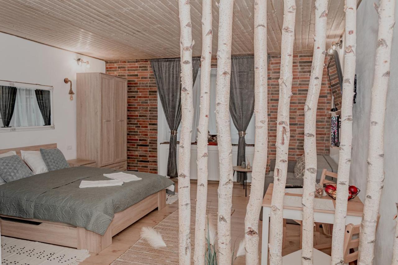 Central Garden Apartments Brasov Bagian luar foto